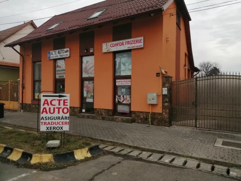 Acte auto asigurări Sebes